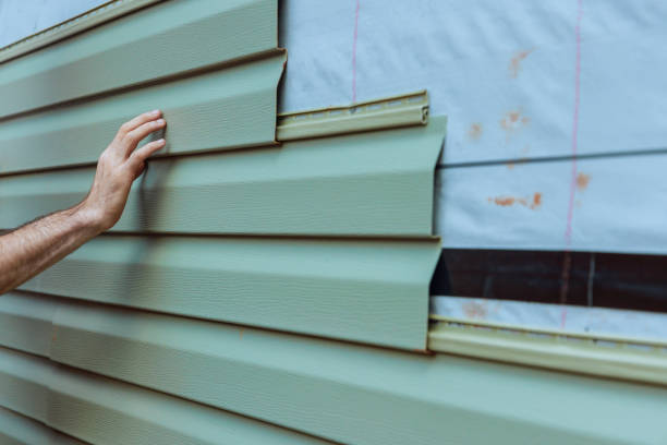 Best Siding Painting and Refinishing  in Monticello, MN